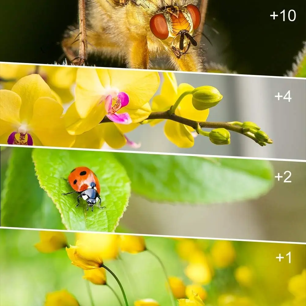 61aecG8tHdL-AC-SL1000-